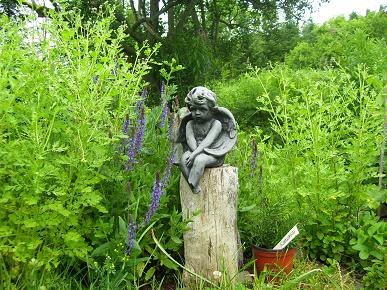 Garden Angel at Mountain Spring Homestead watches over Feverfew, Sage, Orange mint and Rosemary.